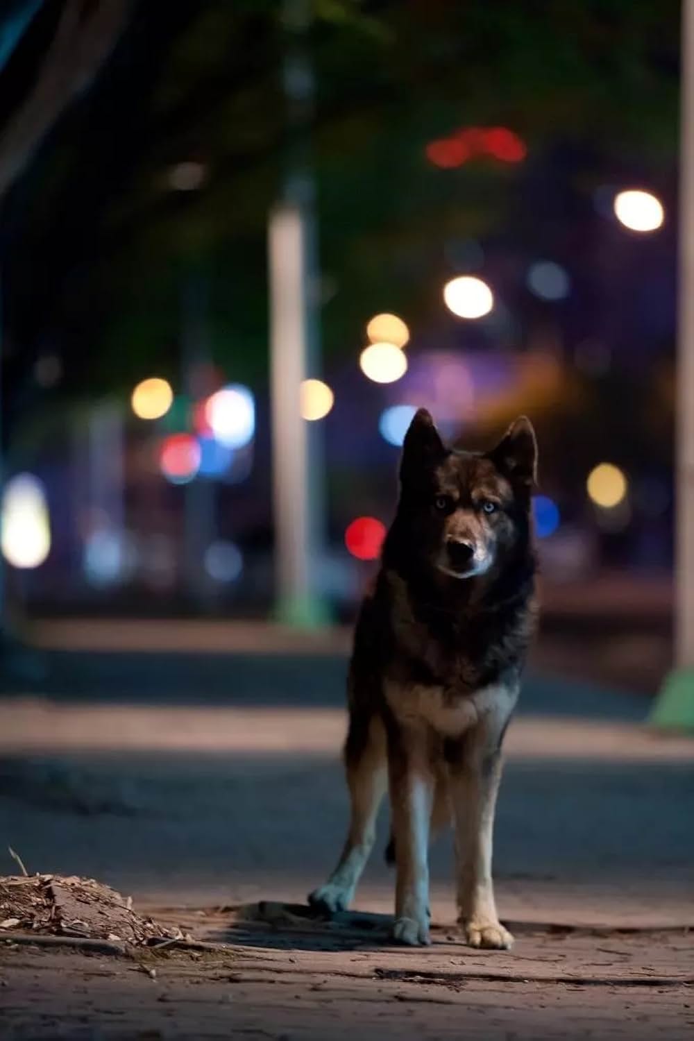 凍える牙の画像