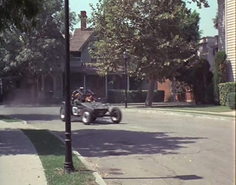 あひる大旋風の画像