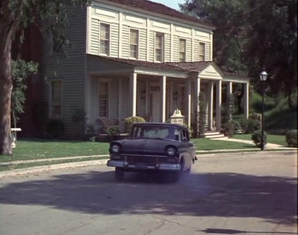 あひる大旋風の画像