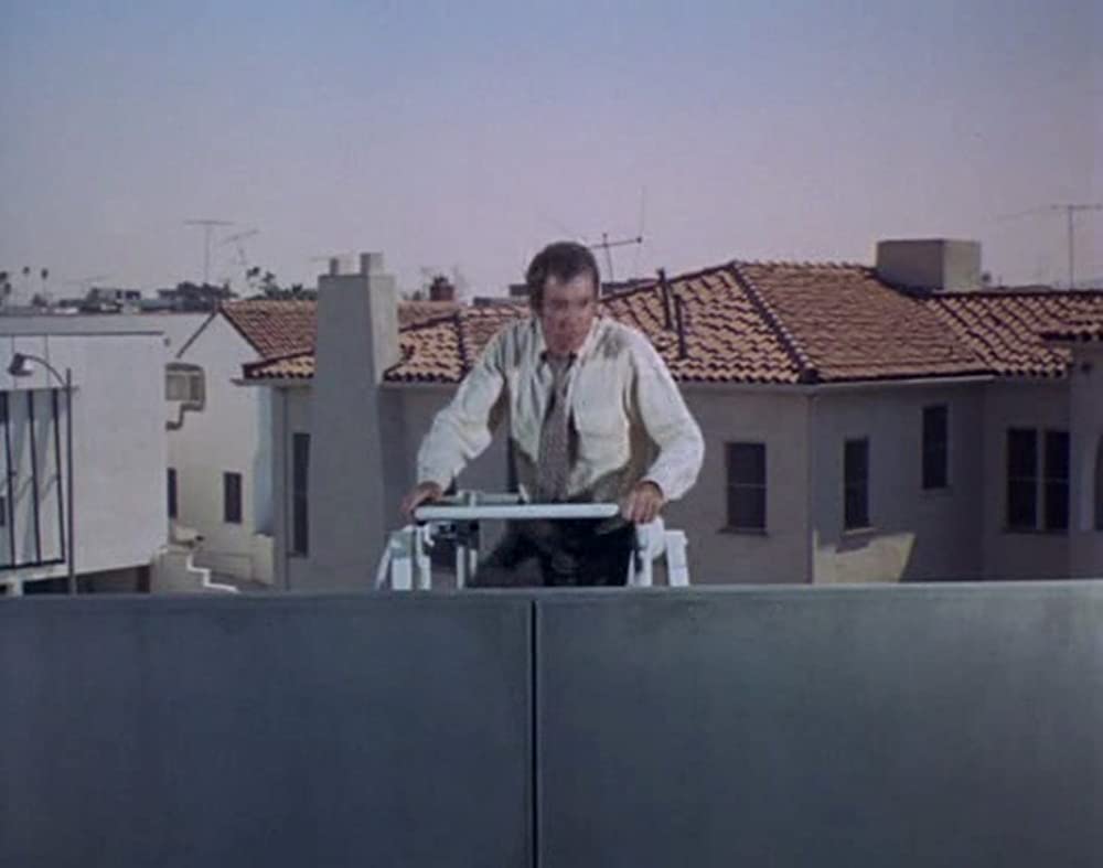 あひる大旋風の画像