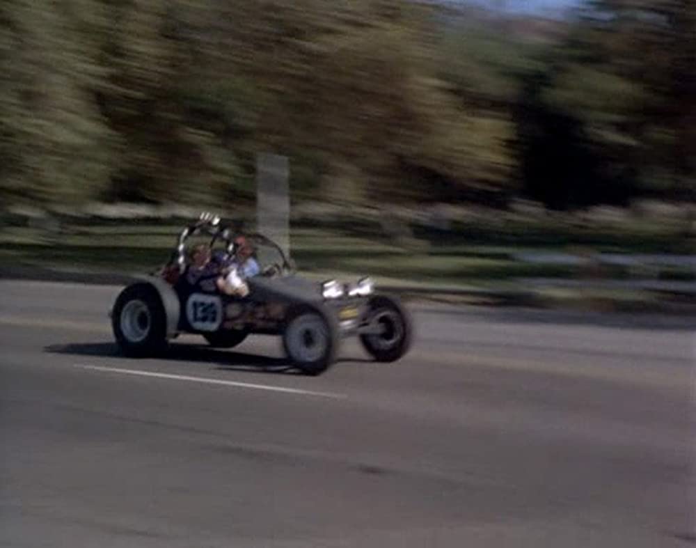 あひる大旋風の画像