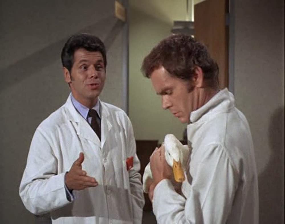 あひる大旋風の画像