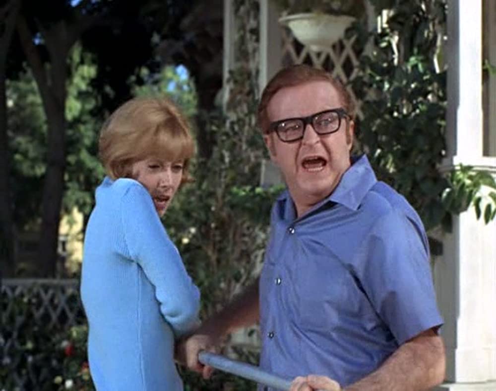 あひる大旋風の画像