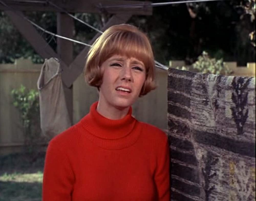 あひる大旋風の画像