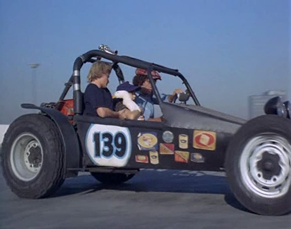 あひる大旋風の画像