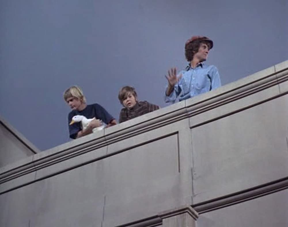 あひる大旋風の画像