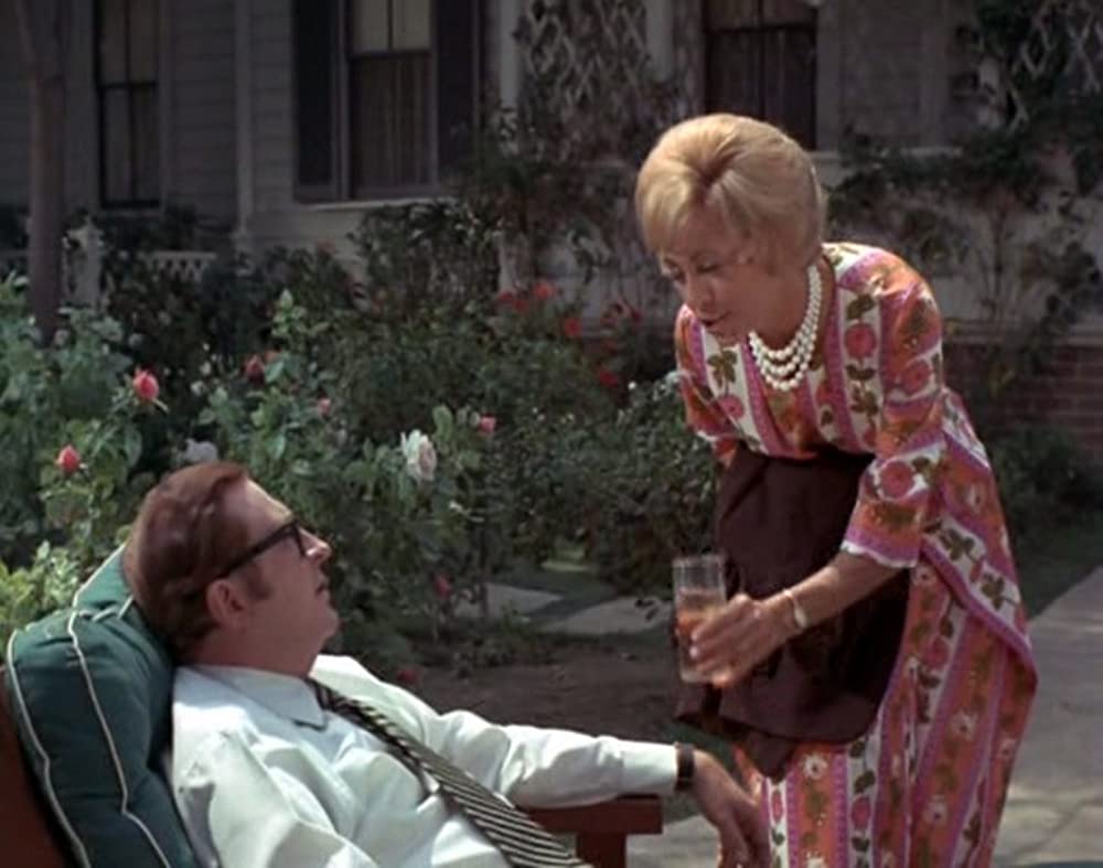 あひる大旋風の画像