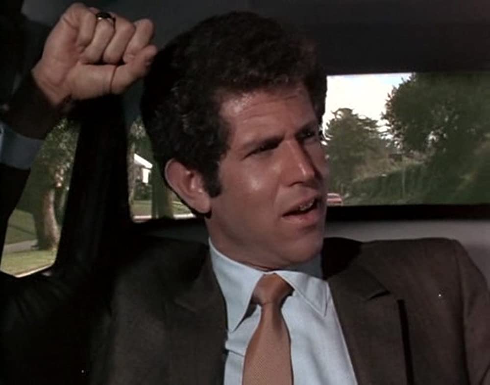 「あひる大旋風」トニー・ロバーツの画像