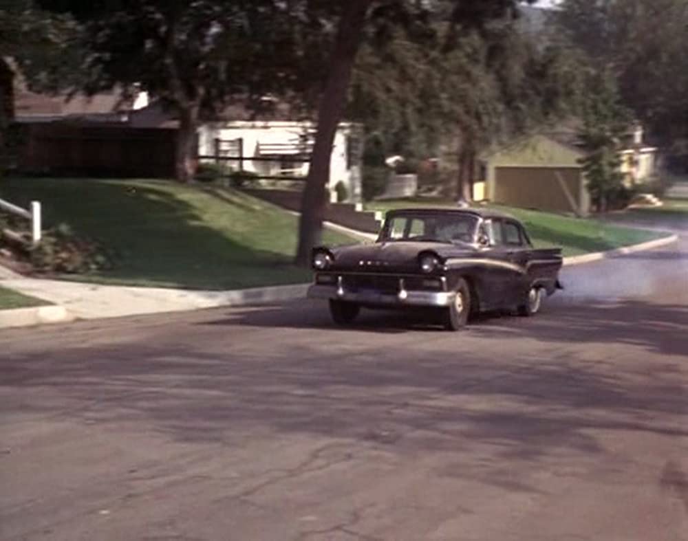 あひる大旋風の画像