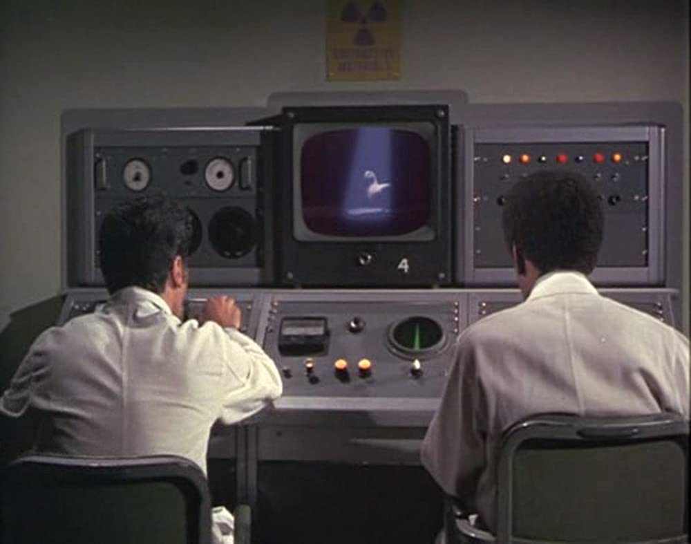 あひる大旋風の画像