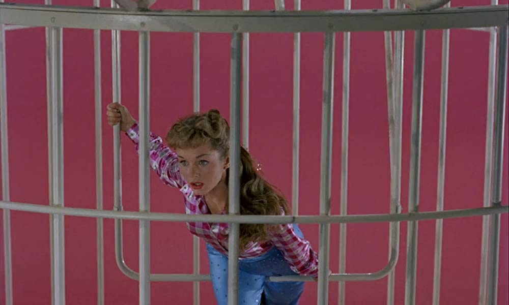 奥様は芳紀十七才の画像