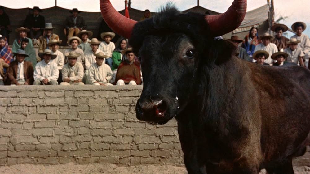 カウボーイの画像