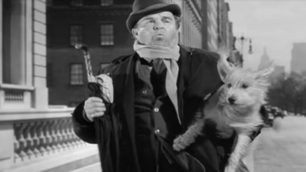 五番街の出来事の画像