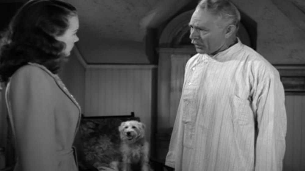 五番街の出来事の画像