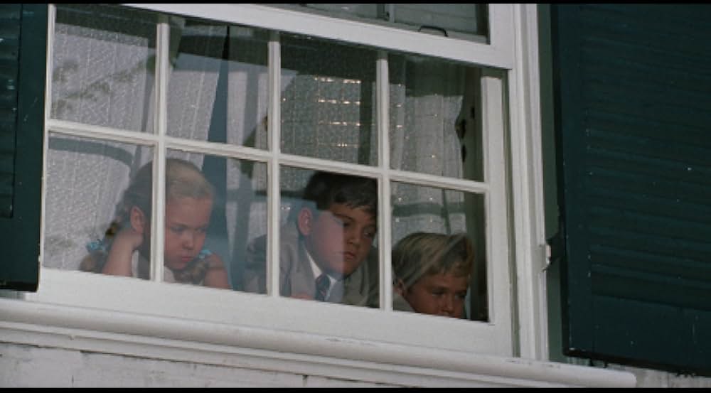 月夜の出来事の画像