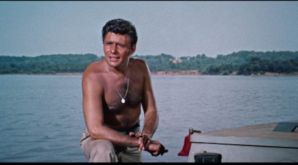 月夜の出来事の画像