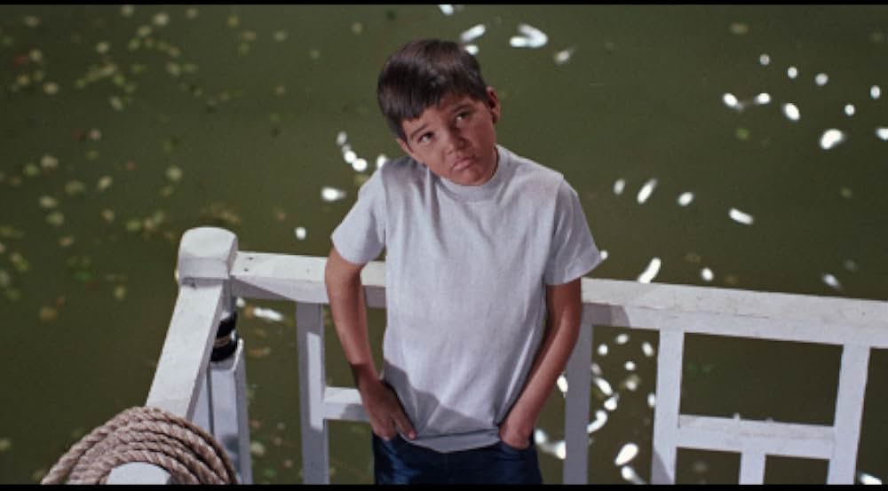 月夜の出来事の画像