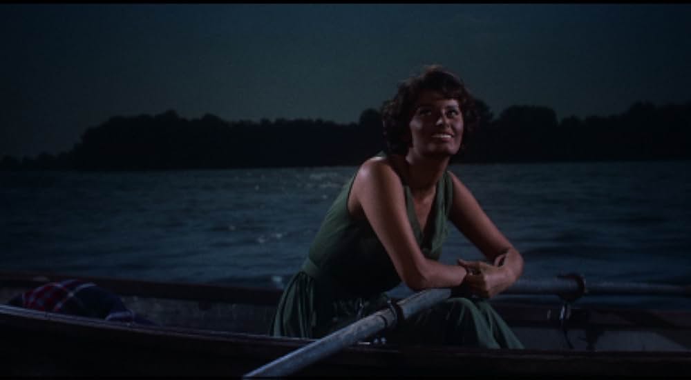 月夜の出来事の画像