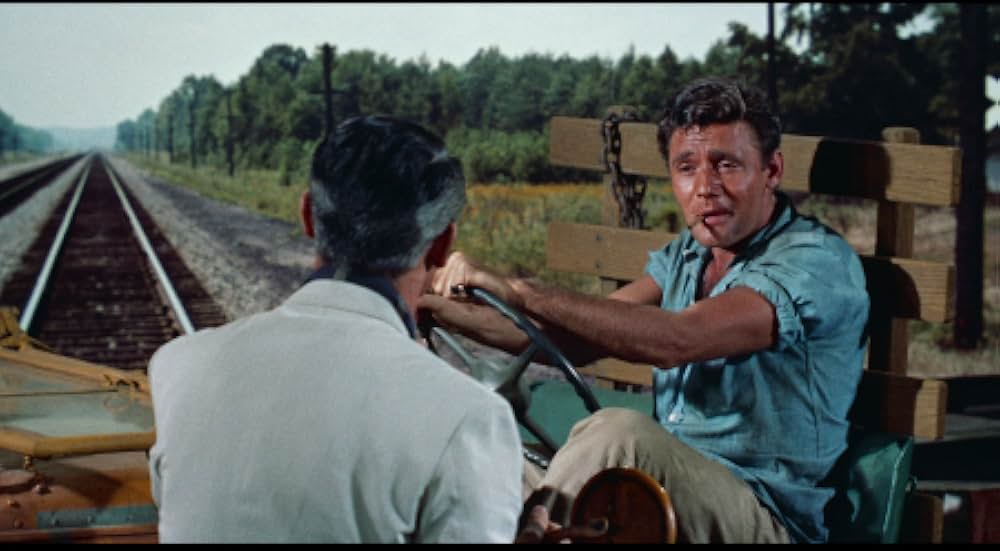 月夜の出来事の画像