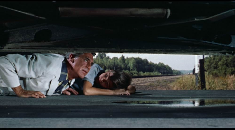 月夜の出来事の画像