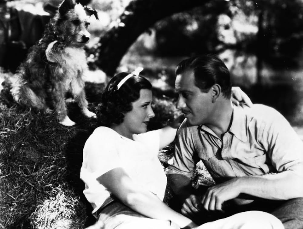 花嫁凱旋の画像