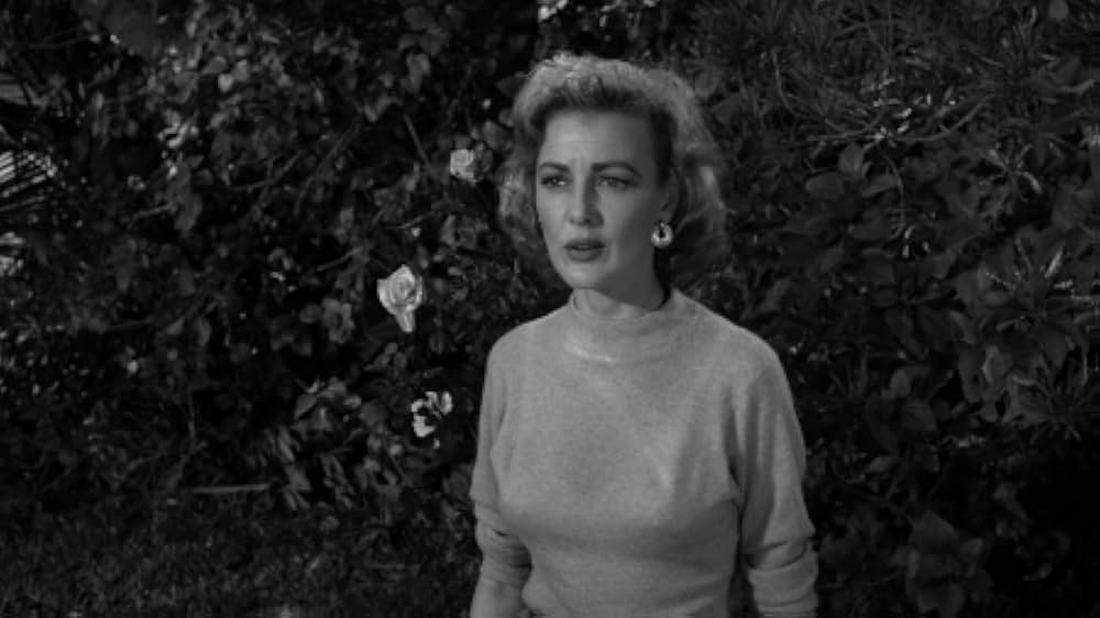 バラの刺青の画像