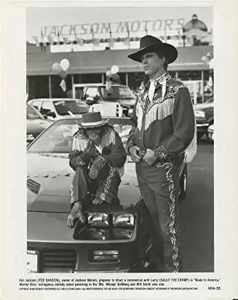 「メイド・イン・アメリカ」テッド・ダンソンの画像