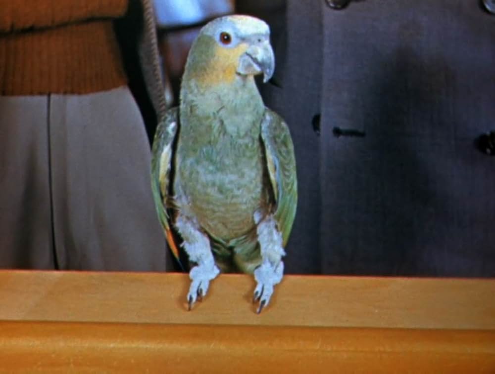 ラテン・アメリカの旅の画像