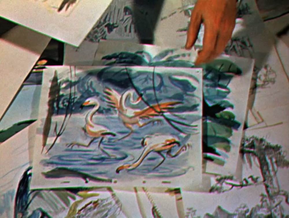 ラテン・アメリカの旅の画像