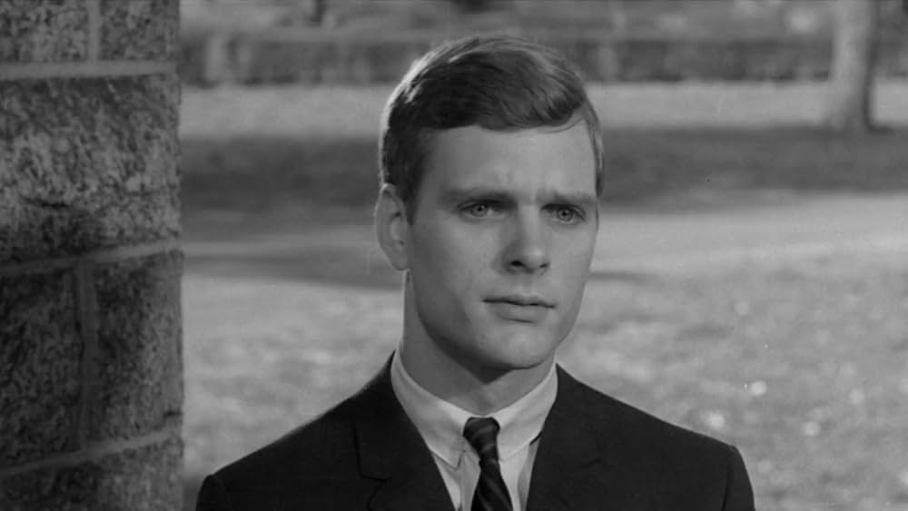 リサの瞳のなかにの画像