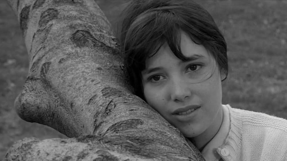 リサの瞳のなかにの画像