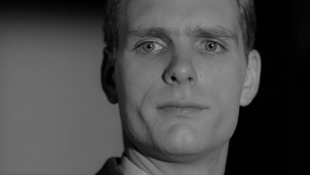 リサの瞳のなかにの画像