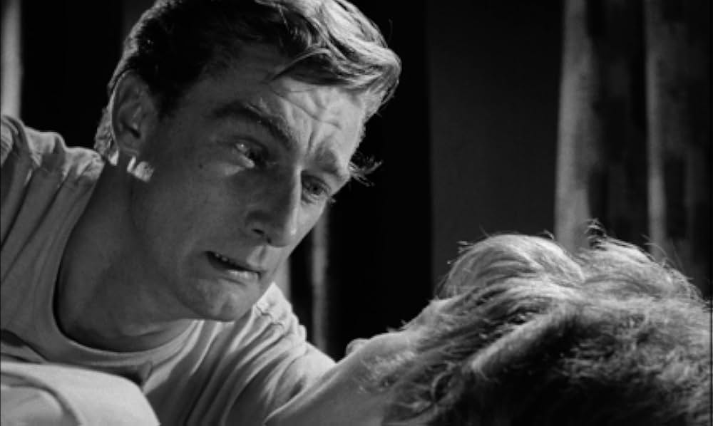 わかれ道の画像