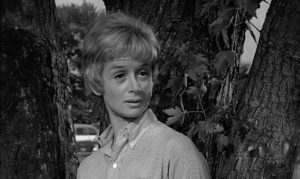 わかれ道の画像