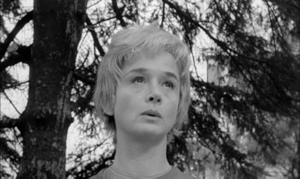 わかれ道の画像