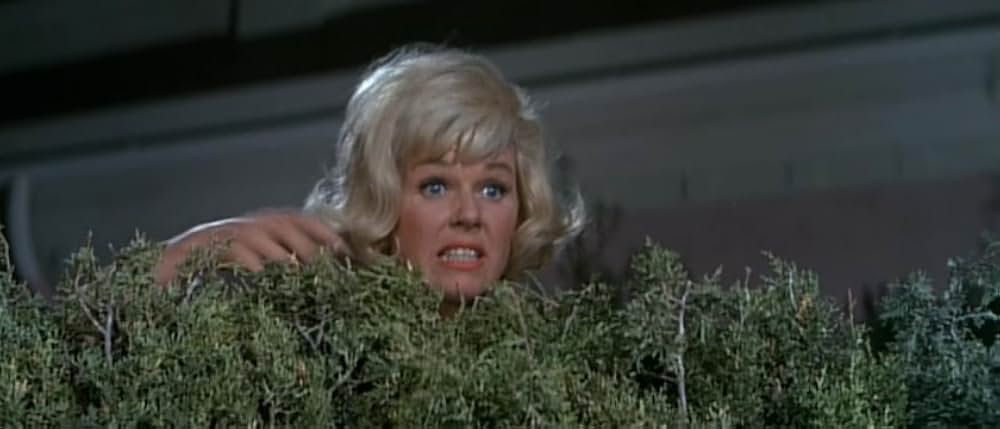 女房は生きていたの画像