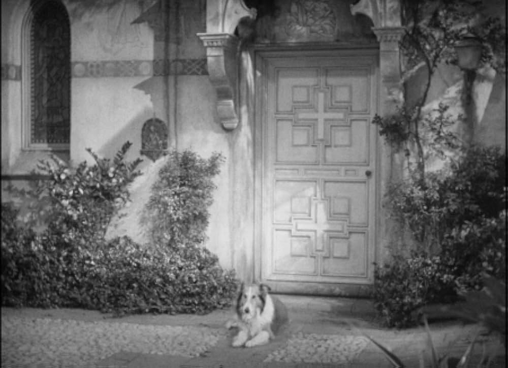 邂逅（めぐりあい）の画像