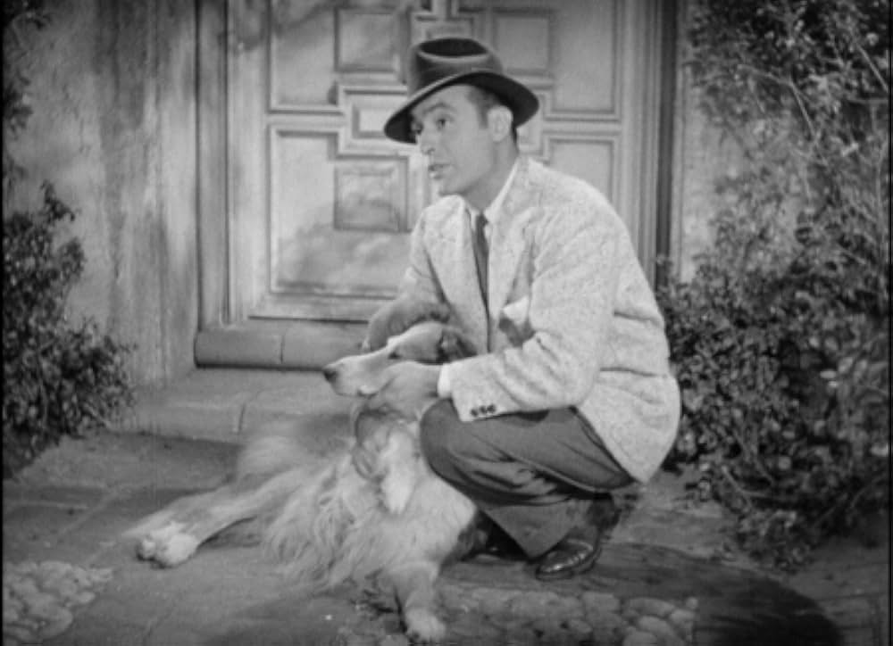 邂逅（めぐりあい）の画像