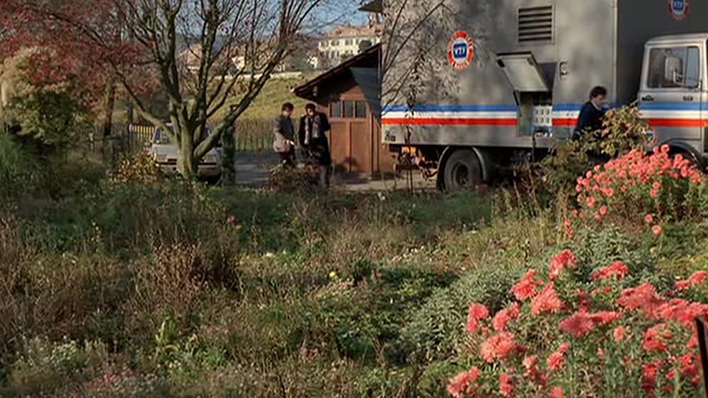 パッションの画像