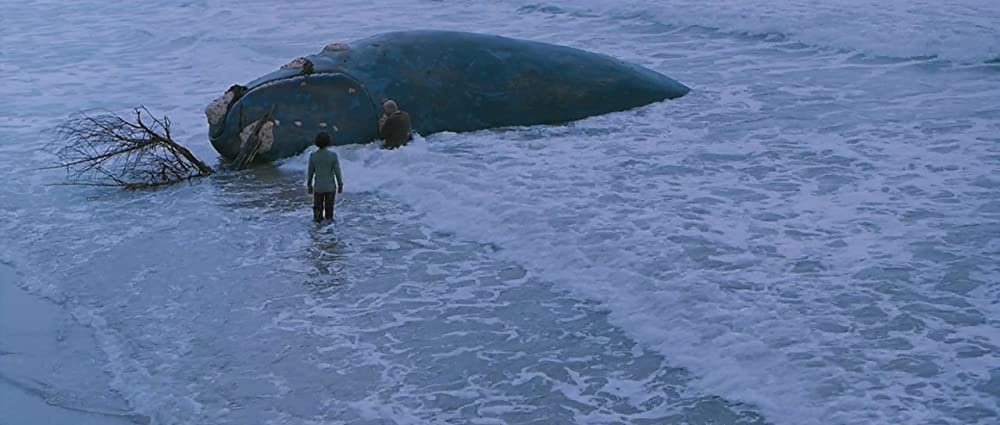 クジラの島の少女の画像