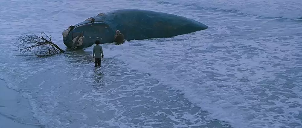 クジラの島の少女の画像