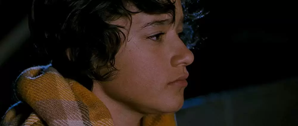 クジラの島の少女の画像