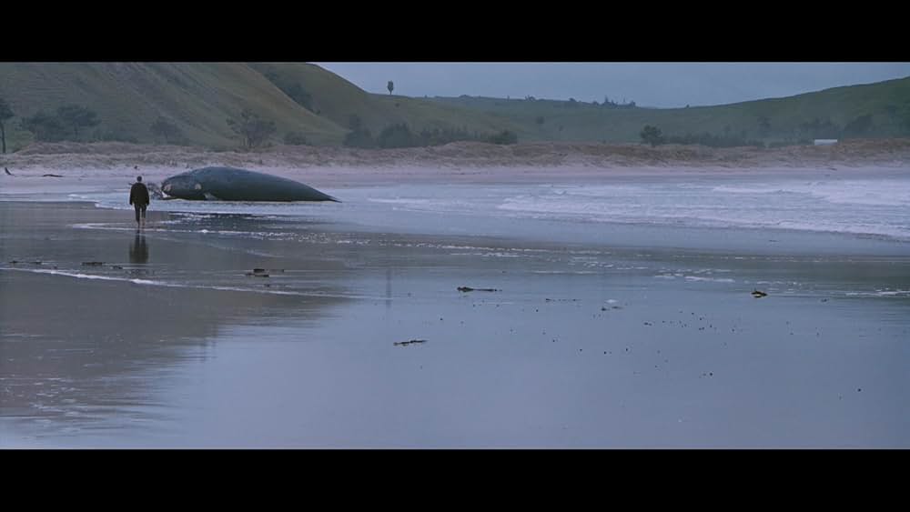 クジラの島の少女の画像