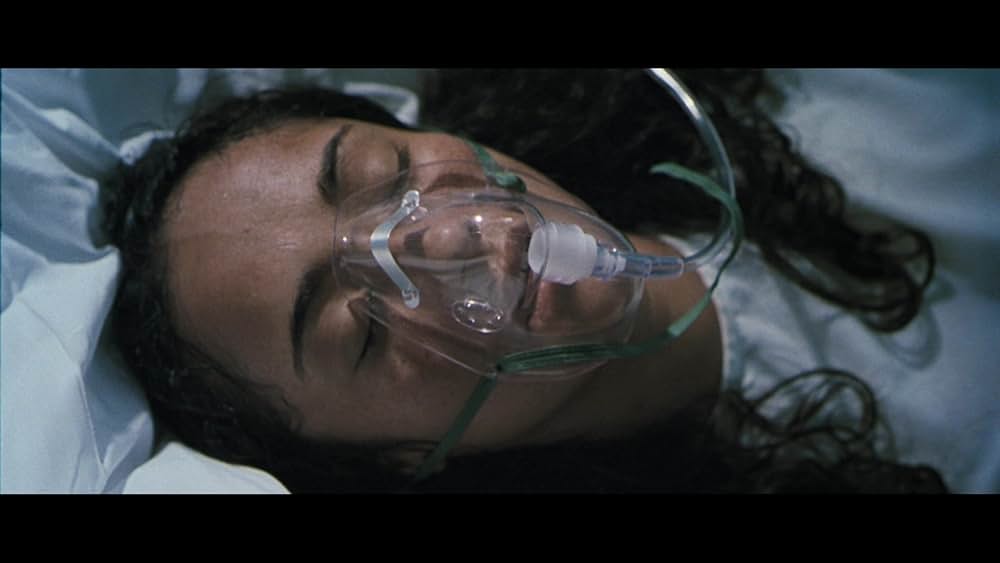 クジラの島の少女の画像