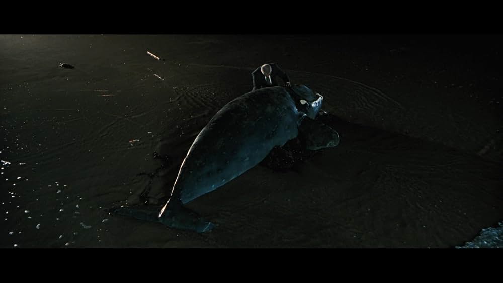 クジラの島の少女の画像