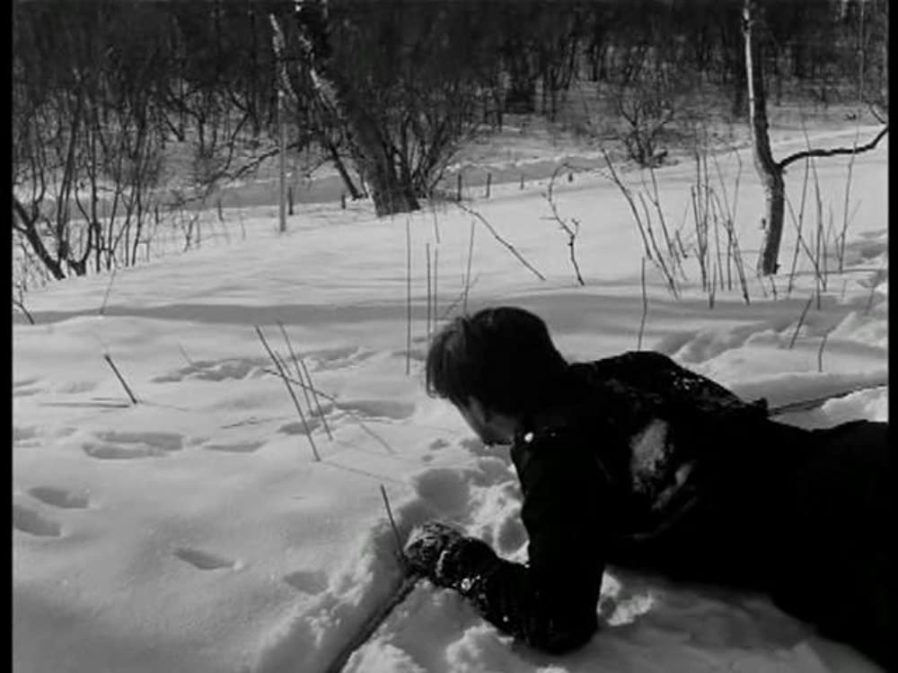 脱出地点の画像