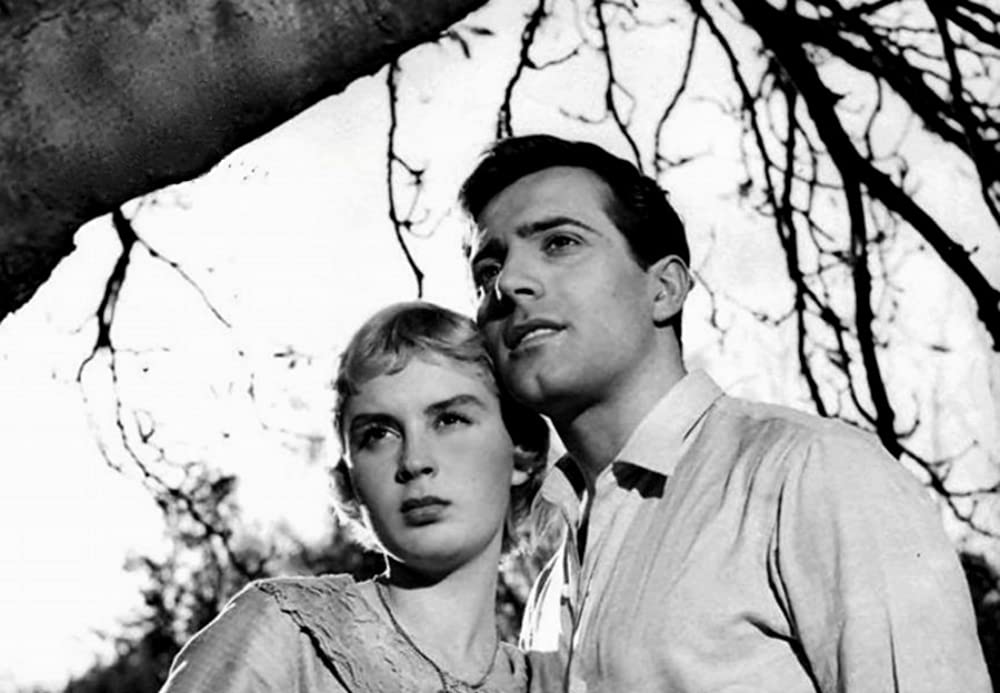 天使の家の画像