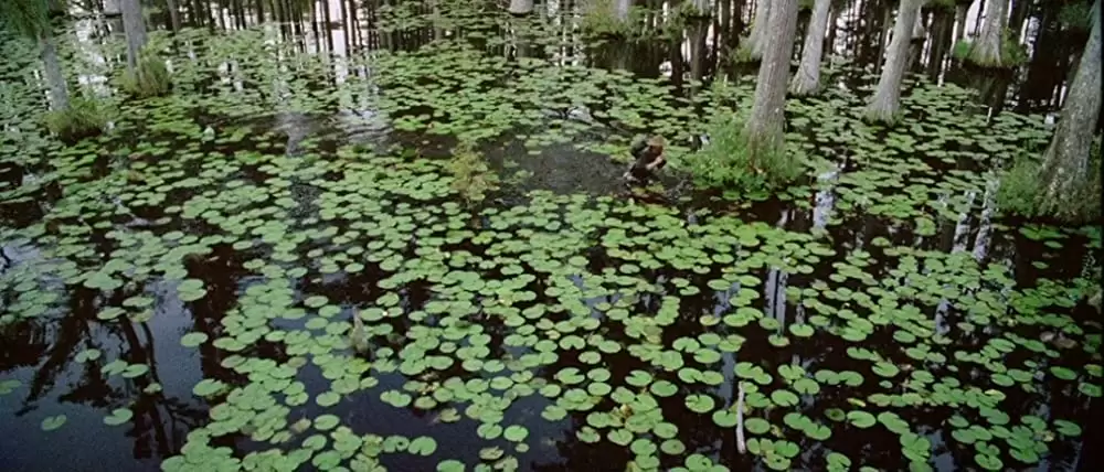 コールド マウンテンの画像