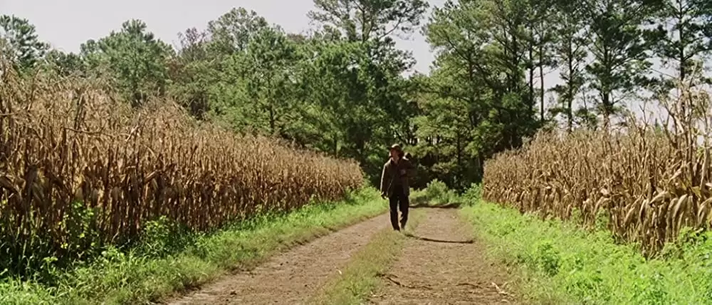 コールド マウンテンの画像