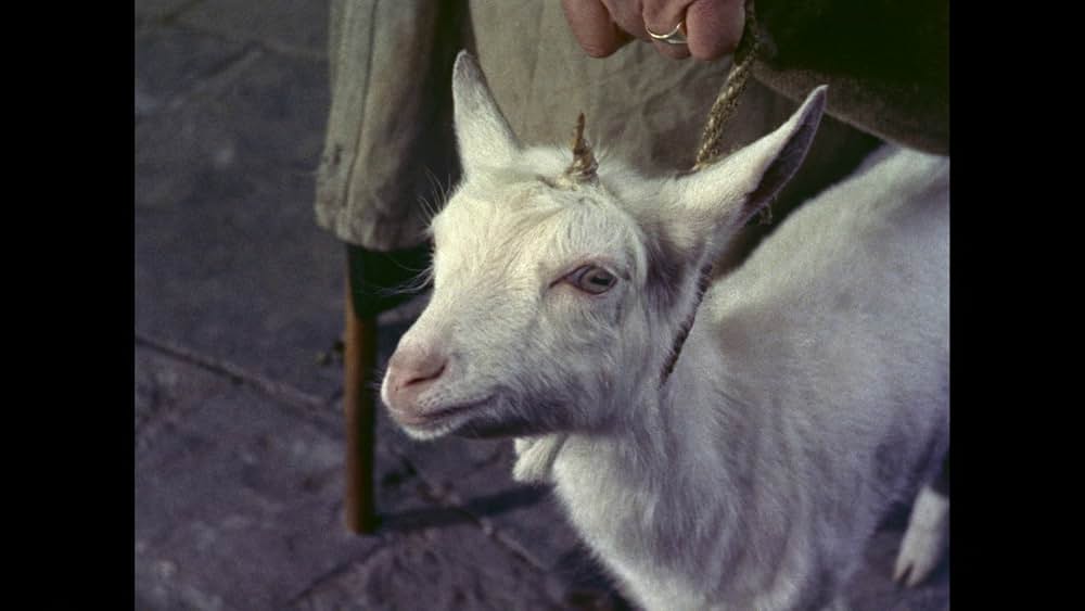 文なし横丁の人々の画像